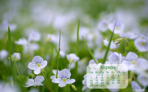 818782 (a): :1920x1200